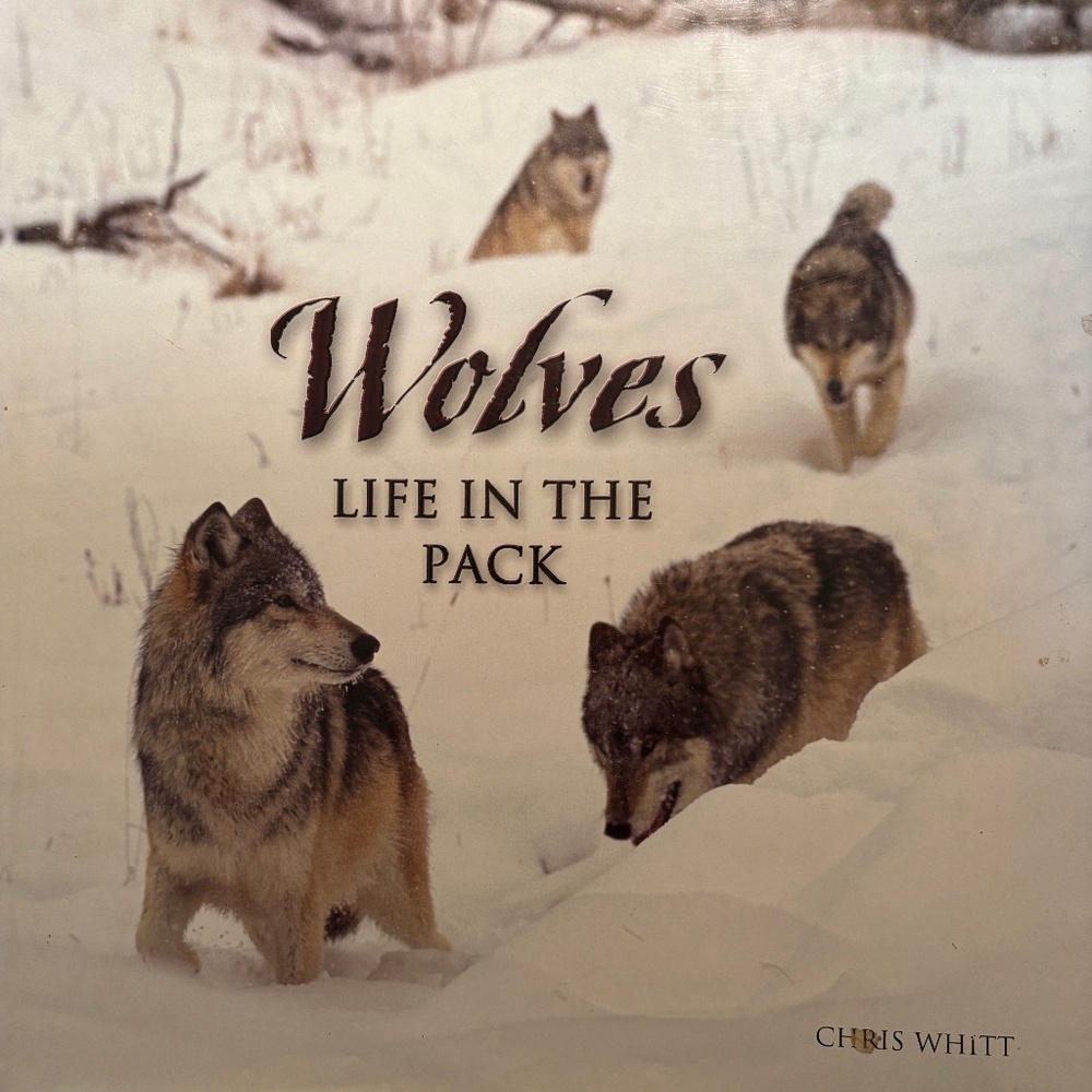 Wolves Life in the Pack by Chris Whitt